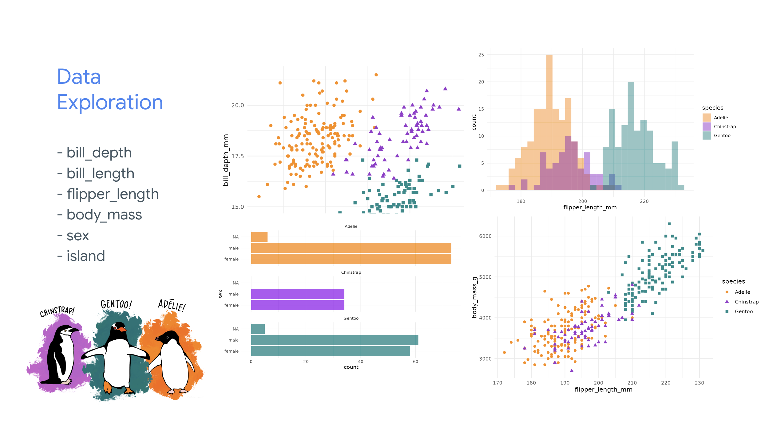 Data Explore